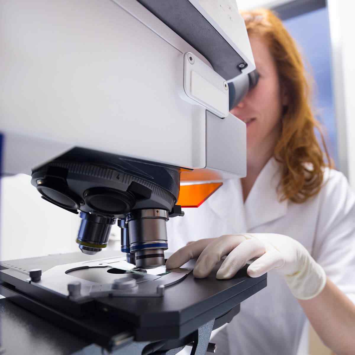 Melissa Williamson, PhD